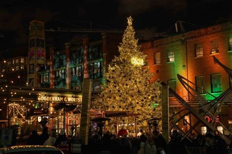 christmas tree dior|distillery district toronto christmas lights.